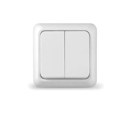 2- клавишные