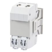 Панель лицевая для выреза в шкафу ПЛ-2, 2 модуля, пластик, без дверцы, IP40, серая TDM