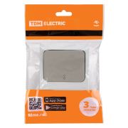 Переключатель на 2 направления 1-кл. скрытой установки IP54 10А серый «Вуокса» TDM