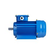 Электродвигатель АИР 160S2 3ф 15 кВт 3000 об/мин 1081 TDM