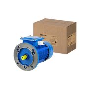 Электродвигатель АИР 80B2 3ф 2,2 кВт 3000 об/мин 3081 TDM