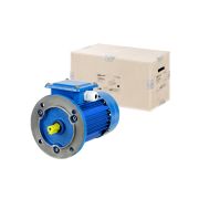 Электродвигатель АИР 112M4 3ф 5,5 кВт 1500 об/мин 3081 TDM