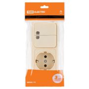 Блок комбинированный выключатель 2-кл. 10А с подсветкой + розетка 2П+З 16А 250В БКВР IP20 сл. кость «Ладога» TDM