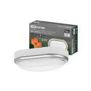 Светильник накладной LED ДПО «Антарес» 15Вт 6500К овал 221*131*68 мм мат.серебро IP54 TDM