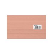 Шина М1Т 10х100х2000 мм